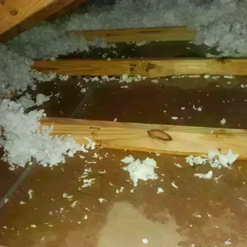 Attic Water Damage in Keizer, OR