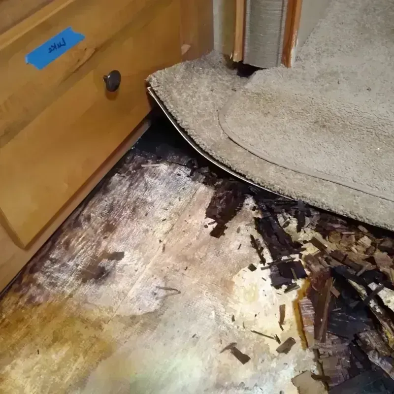 Wood Floor Water Damage in Keizer, OR